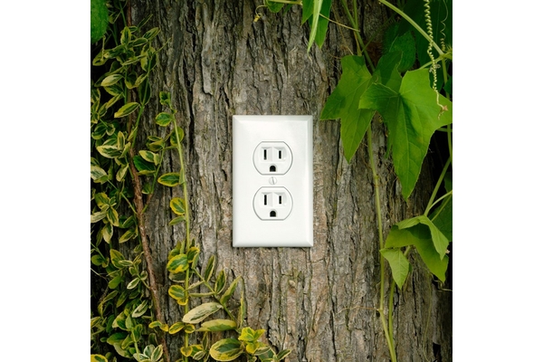 Image Image